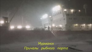 Мурманск. Снежный буран 20 января2025 г.