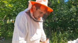 Сбор лучшего липового меда 2022/ Как сделать натуральный мёд/ Пчеловодство