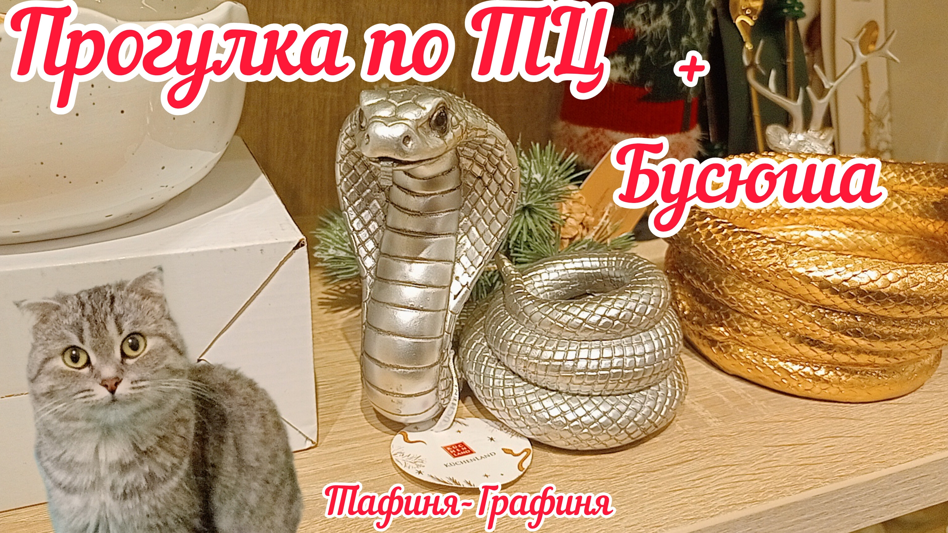 😻Прогулка по ТЦ/ Бусюша 😻