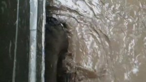 Спас Трак организует, а едут все сами.