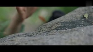 Цветущий пион 1 сезон 8 серия