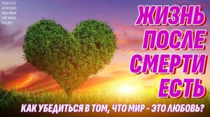 Жизнь после смерти есть - Как убедиться в том, что мир состоит из Любви, а не из зла?