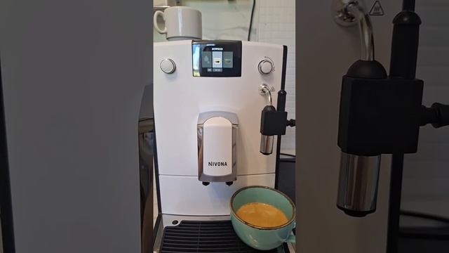 Готовим капучино на nivona 560 смотреть онлайн