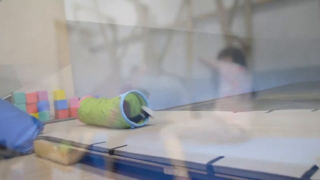 Черепашки- ниндзя в батутном центре КЕНГУРУ смотреть онлайн