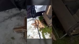 Парение в мобильной бане с печью Казачка Тур