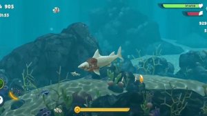 Прохождение игры Hungry Shark Evolution