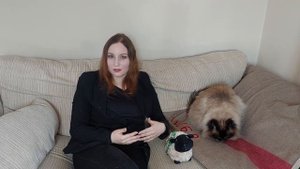 Летим с котом самолетом