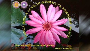 Петра фон Калиновски. Духовность в повседневной жизни. 1-ое занятие.
Пища человека. 19-01-2025