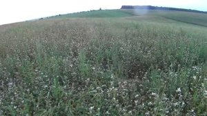 охота на  косулю с манком BUTTOLO 2014ю (МГ Космечара )