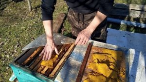 ЭФФЕКТИВНЫЙ старт февраля залог успешного сезона