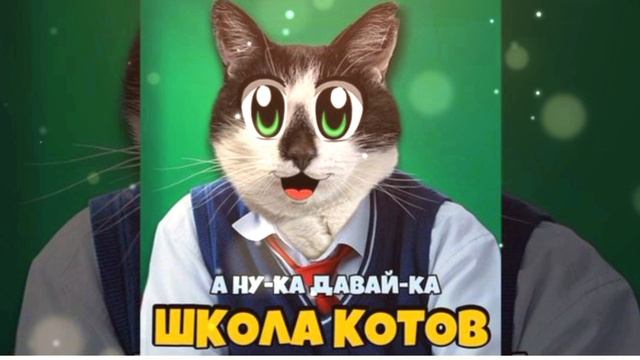 гимн школы котов🐱