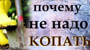 Как сделать землю плодородной и почему надо перестать копать на огороде