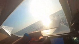 Дельфины у берегов Алании.Турция. Средиземное море.