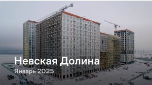 «Невская Долина» / Январь 2025