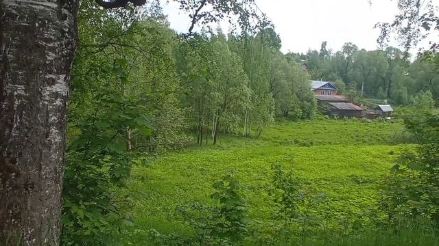 Наволоки мимоходом