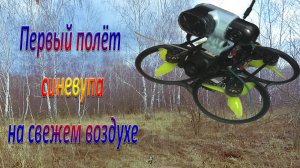 Первый полёт синевупа  на свежем воздухе