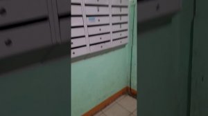 31.01.2025 пятн. 16:45 Выходы неработающих соседей