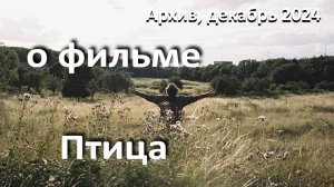 о фильме "Птица", реж. А.Арнольд, (2024 г.)...//непростое взросление в мире неповзрослевших взрослых