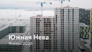 «Южная Нева» / Январь 2025