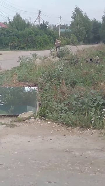 Тяжелая голова 🤕 к земле тянет)))) 😀 смотреть онлайн