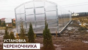 Теплица