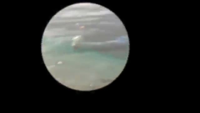 КАК НЕ НАДО КАКАТЬ ARK YouTube 0 1439394247093 смотреть онлайн