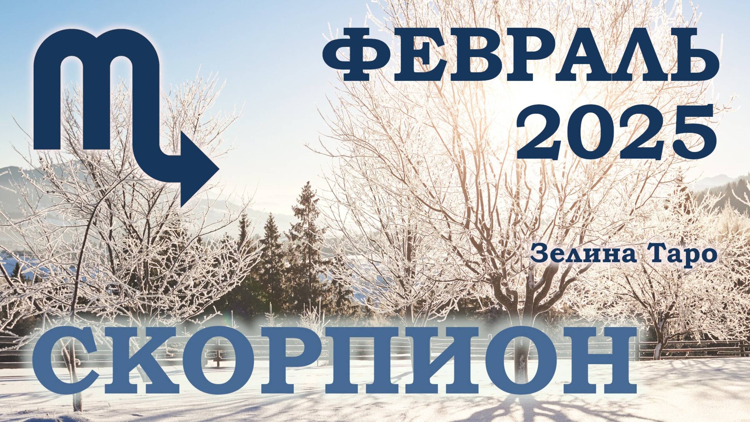 СКОРПИОН | ТАРО прогноз на ФЕВРАЛЬ 2025 года | Желание | Расклад таро | Таро онлайн