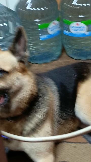 Застукали на месте преступления. смотреть онлайн