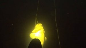 подводная охота