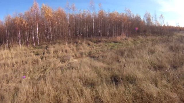 Вальдшнеп 2013 (Woodcock Hunting) 4 смотреть онлайн