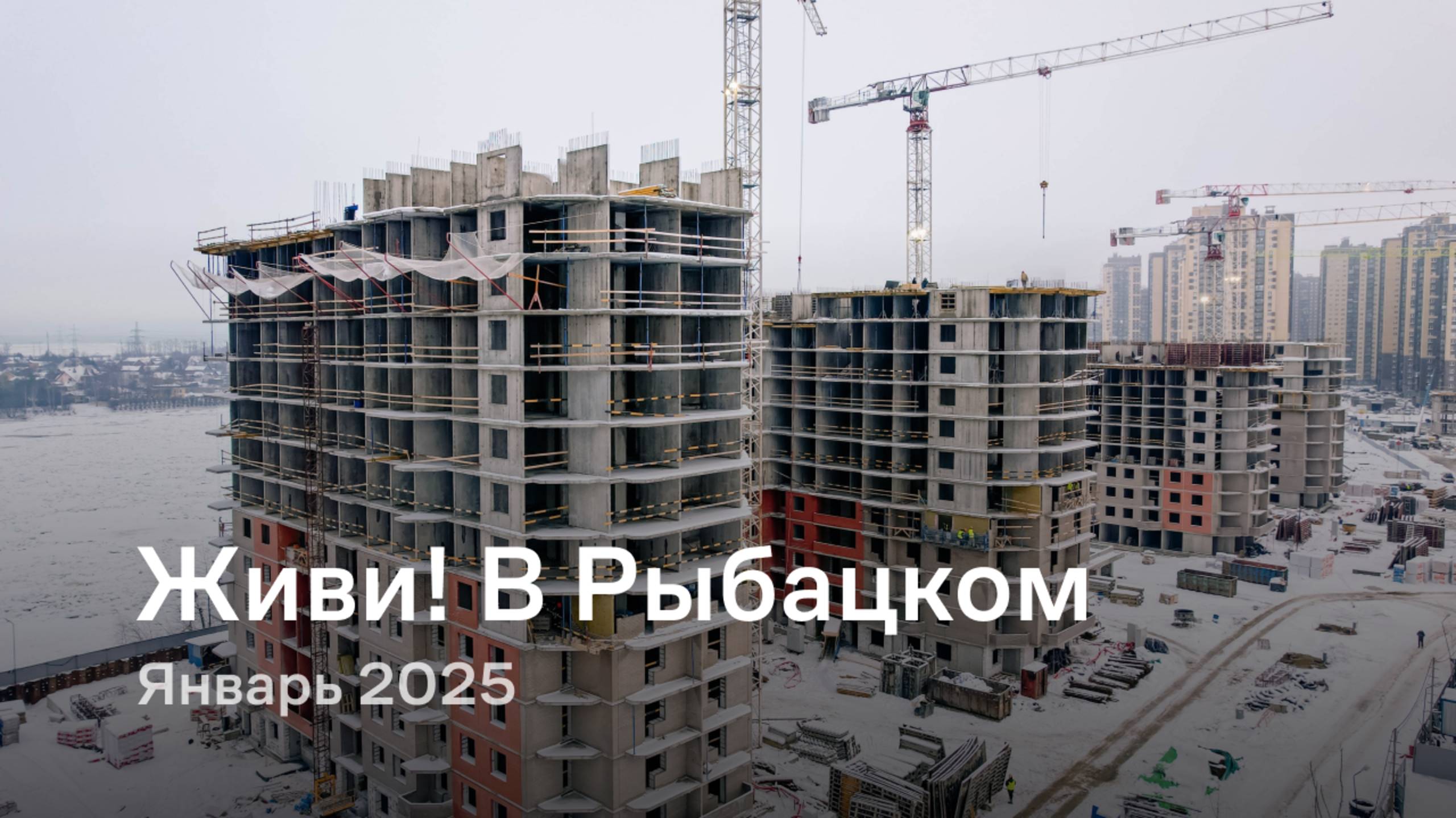 «Живи! В Рыбацком» / Январь 2025