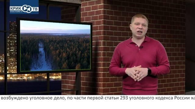 "Риэлторский вестник" от 01.02.25  Пророчества КРИК-ТВ сбываются, по крайней мере в Тавде!