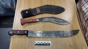 Агрессивный пассажир поезда Томск — Адлер ранил ножом попутчиков