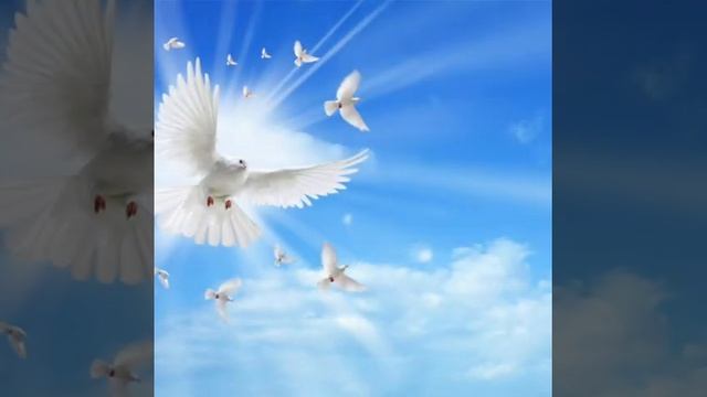 Голуби(Виктор Петлюра и Анна Воробей) смотреть онлайн