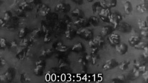 Уплотнение грунтов 1967