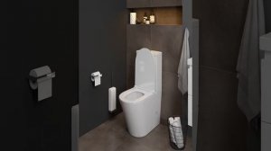 Унитаз напольный Teymi Solli - краткий обзор