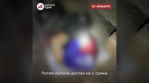 Танковый штурм под Курахово, страшные зверства боевика ВСУ и пощёчины американцу — итоги дня