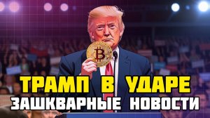 Президент США Дональд Трамп хочет стать королем криптовалюты | Что ждет биткоин и алькоин?