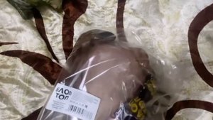 Распаковка игрушек БЛОПТОП бибезьяна и жаба @bloptop