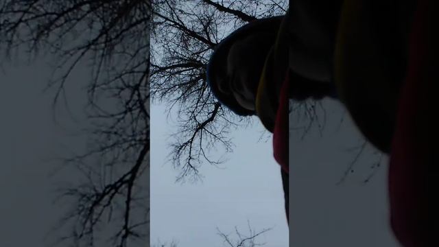 Я тоже школьник смотреть онлайн