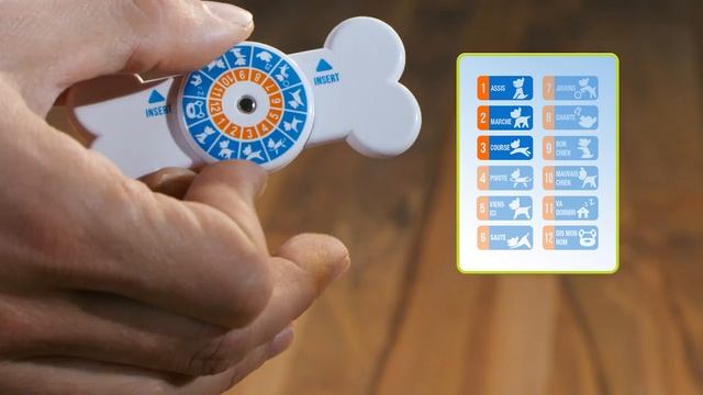 Tutoriel Robot PUPBO Français смотреть онлайн