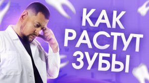 Как зубы растут