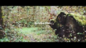 blvck music | autumn vibes | lo-fi | smooth | r'n'b + hiphop | drum & bass