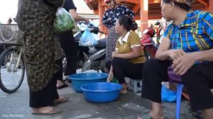 Meet a giant school of Fish - Harvest the school Bring it to the market to sell | Trieu Mai Huong