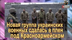 Новая группа украинских военных сдалась в плен под Красноармейском