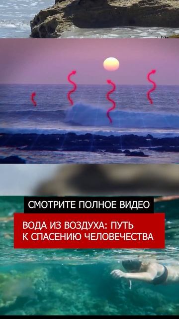 Как очистить океан от пластика? Реальная технология!!!!!
