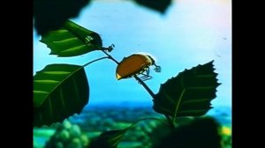 Эх молодёжь.