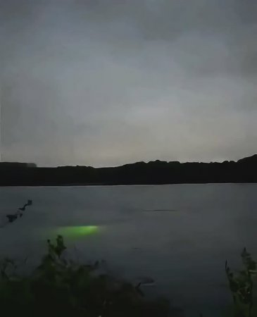 Странный Свет Под Водой