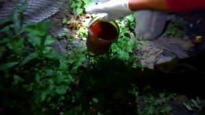 Ночное отпугивание кротов, протухшей селёдкой.