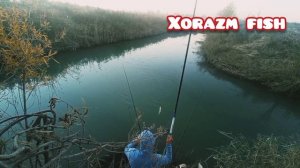 #рыбалка#балик ови#хоразм#гурлан#леш#